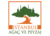 Istanbul Agac Ve Peyza 4